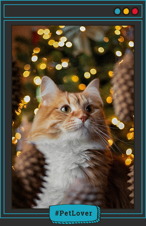 cómo evitar el estrés en gatos en Navidad